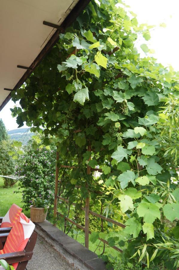 Pension Klimesch Mondsee Extérieur photo